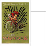 Cycles Wonder Poster by Mich