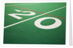 Twenty Yard Maker on Football Field by Anonymous