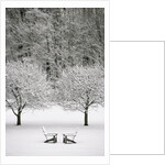 Snow covered landscape by Anonymous