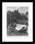 The Tragedy on the Brooklyn Bridge, May 30 Illustration by Anonymous