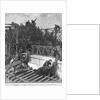 The Tragedy on the Brooklyn Bridge, May 30 Illustration by Anonymous