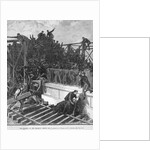 The Tragedy on the Brooklyn Bridge, May 30 Illustration by Anonymous