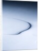 Puddle of white liquid by Anonymous