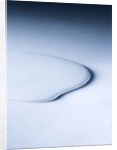 Puddle of white liquid by Anonymous