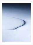 Puddle of white liquid by Anonymous