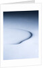 Puddle of white liquid by Anonymous