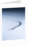 Puddle of white liquid by Anonymous