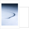 Puddle of white liquid by Anonymous