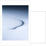 Puddle of white liquid by Anonymous
