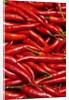 Jalapenos by Anonymous
