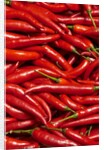Jalapenos by Anonymous
