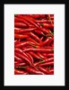 Jalapenos by Anonymous