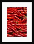 Jalapenos by Anonymous