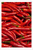 Jalapenos by Anonymous