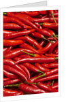 Jalapenos by Anonymous