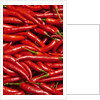 Jalapenos by Anonymous