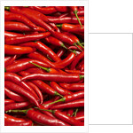 Jalapenos by Anonymous