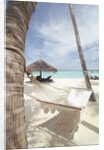 Hammock on the beach by Anonymous