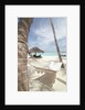 Hammock on the beach by Anonymous