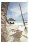 Hammock on the beach by Anonymous