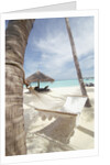 Hammock on the beach by Anonymous