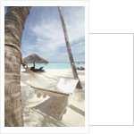 Hammock on the beach by Anonymous