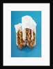 Three hot dogs in buns by Anonymous