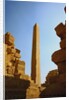 The Obelisk of Thutmose I, Temple of Karnak by Anonymous