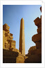 The Obelisk of Thutmose I, Temple of Karnak by Anonymous