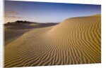 Sand Dunes of Isla Magdalena by Anonymous