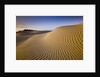 Sand Dunes of Isla Magdalena by Anonymous