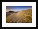 Sand Dunes of Isla Magdalena by Anonymous
