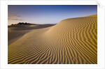 Sand Dunes of Isla Magdalena by Anonymous
