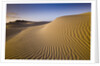 Sand Dunes of Isla Magdalena by Anonymous