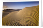 Sand Dunes of Isla Magdalena by Anonymous