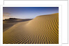 Sand Dunes of Isla Magdalena by Anonymous