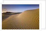 Sand Dunes of Isla Magdalena by Anonymous