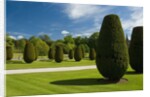 Gardens on the Estate of Lanhydrock by Anonymous