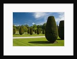 Gardens on the Estate of Lanhydrock by Anonymous