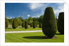 Gardens on the Estate of Lanhydrock by Anonymous