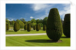 Gardens on the Estate of Lanhydrock by Anonymous