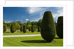 Gardens on the Estate of Lanhydrock by Anonymous