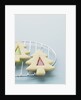 Christmas cookies by Anonymous