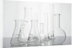 Variety of flasks by Anonymous