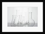 Variety of flasks by Anonymous