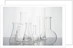 Variety of flasks by Anonymous