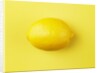 Lemon by Anonymous