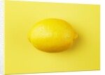 Lemon by Anonymous