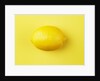 Lemon by Anonymous