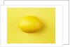 Lemon by Anonymous
